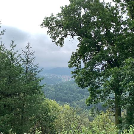 Camping De La Sarre Abreschviller Kültér fotó