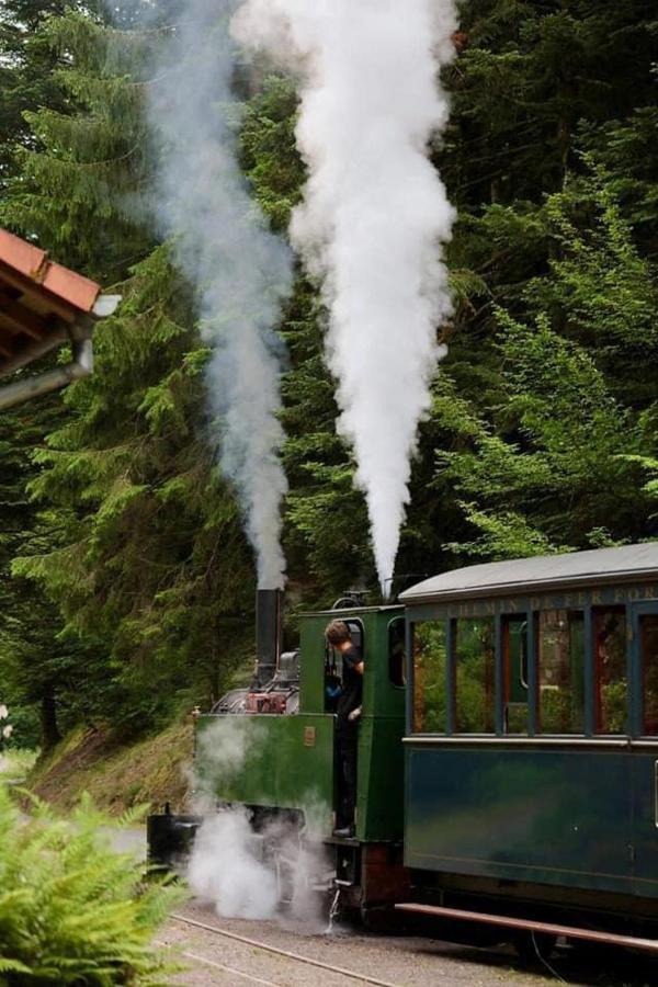 Camping De La Sarre Abreschviller Kültér fotó