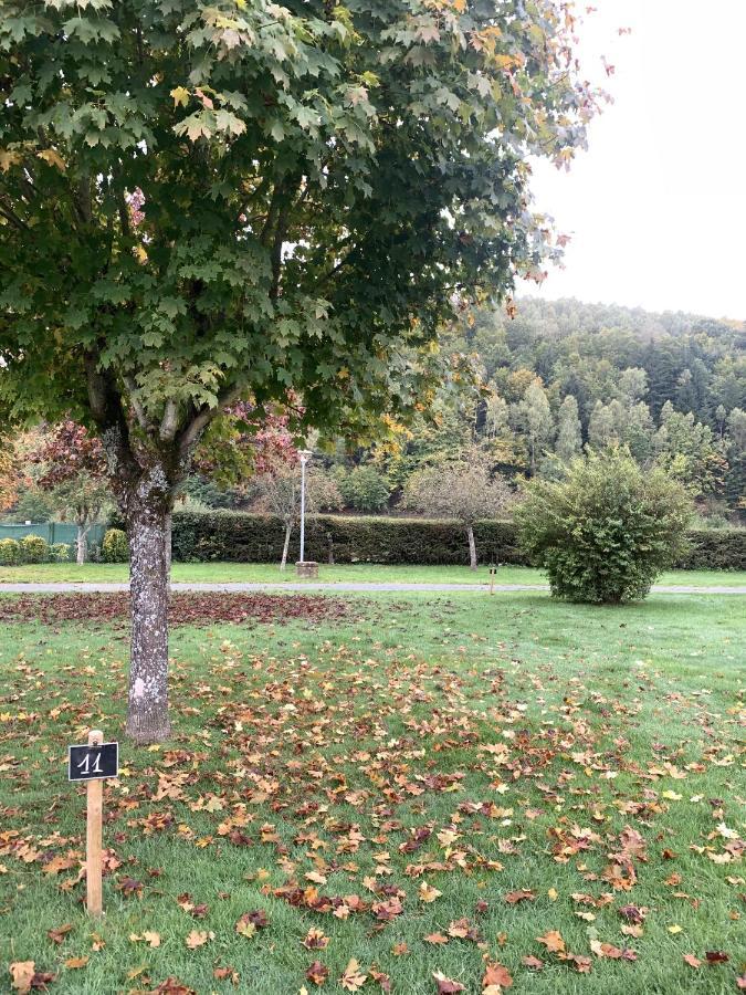 Camping De La Sarre Abreschviller Kültér fotó
