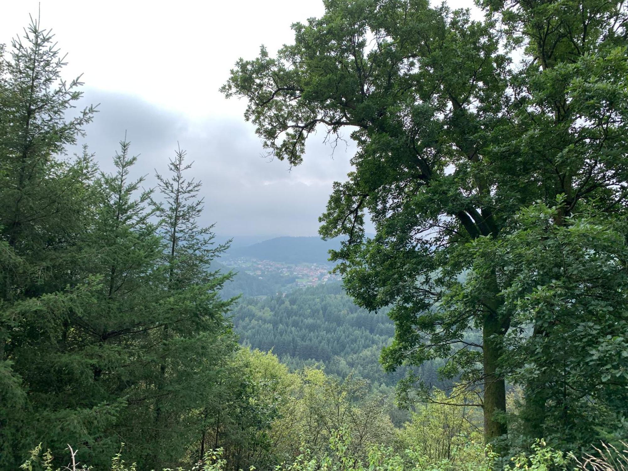 Camping De La Sarre Abreschviller Kültér fotó